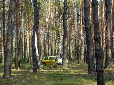 click to enlarge - anklicken zum Vergroessern