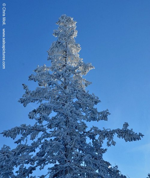 Winter in Tirol: Schnee