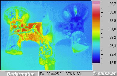 infrared picture / thermographic / thermal picture